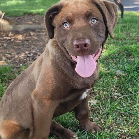 Meet your Posher, Meghan - Picture 2 of 2